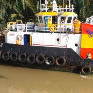 WhatsApp Image 2023-11-22 at 18.31.30