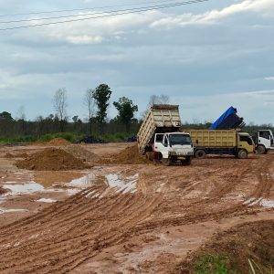 WhatsApp Image 2024-05-30 at 13.24.59