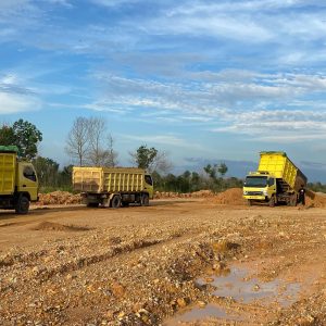 WhatsApp Image 2024-05-30 at 13.25.17(1)