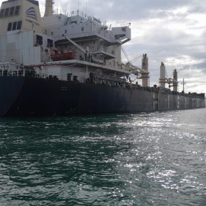 WhatsApp Image 2024-07-17 at 10.30.06