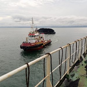 WhatsApp Image 2024-07-17 at 10.30.07(2)