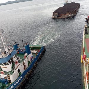 WhatsApp Image 2024-07-17 at 12.02.48