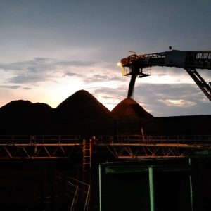 WhatsApp Image 2024-07-31 at 20.23.41(3)