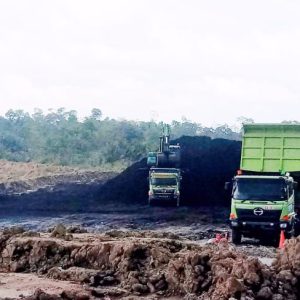 WhatsApp Image 2026-01-27 at 16.26.16