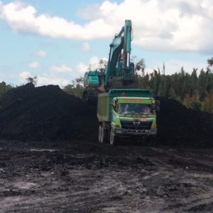 WhatsApp Image 2026-01-27 at 16.26.17